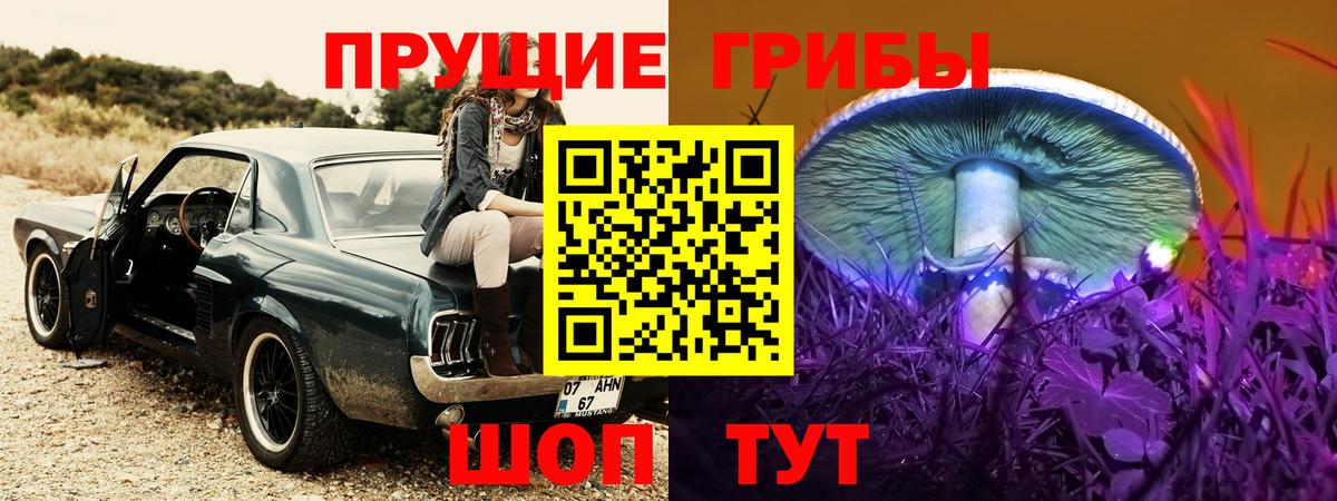 Галлюциногенные грибы Cubensis  Вход с VPN  Вязники  Псилоцибиновые грибы мицелий 
