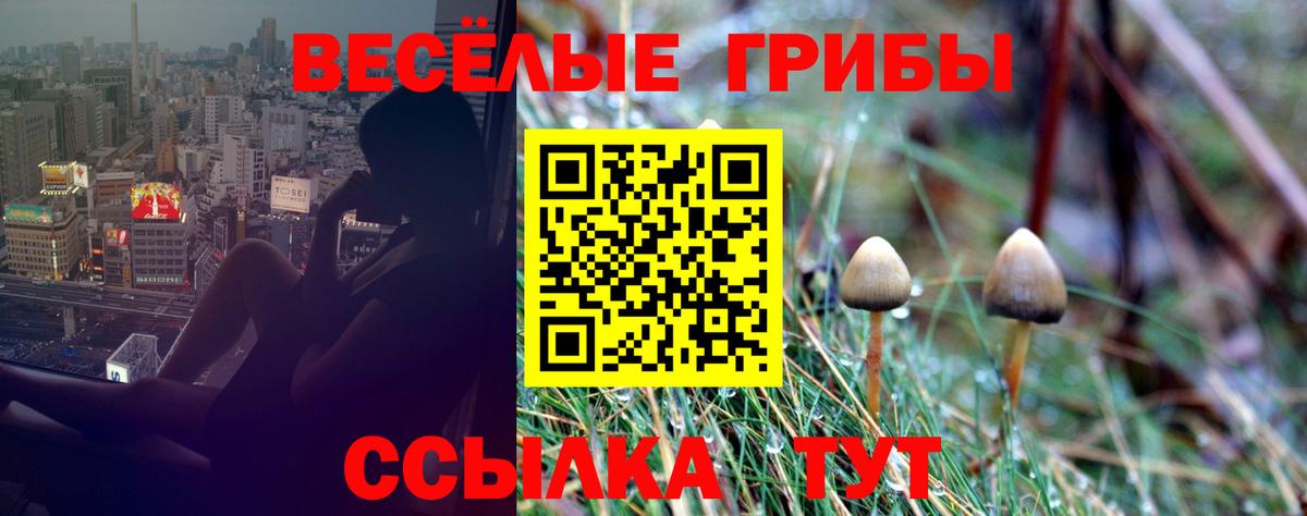 Псилоцибиновые грибы ЛСД Вязники